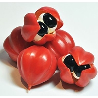 Guarana