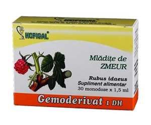 mladite de zmeur hofigal