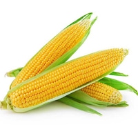 Porumb